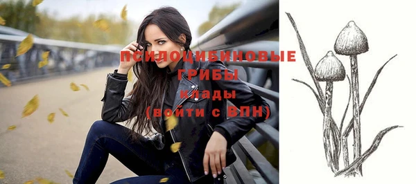 индика Бугульма