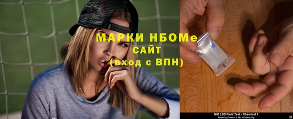 индика Бугульма