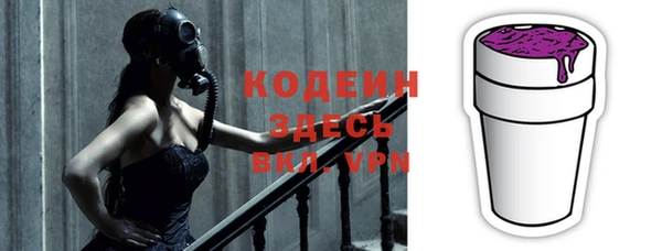 индика Бугульма