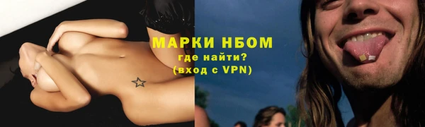 индика Бугульма