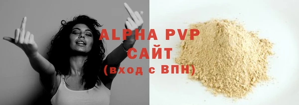 индика Бугульма
