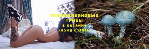 индика Бугульма